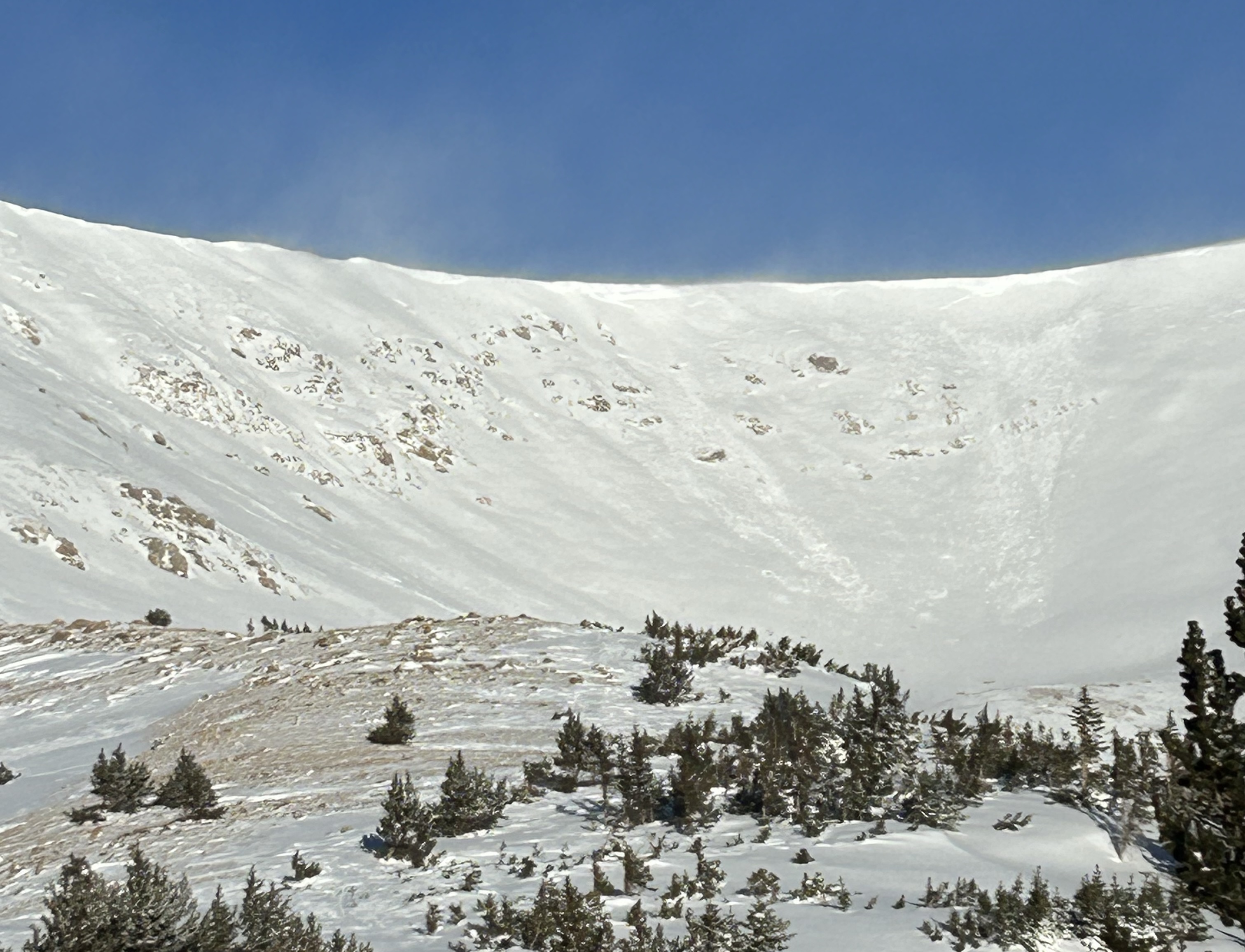 Looking across a flat treed area up at avalanche activity in a bowl under a blue skky.