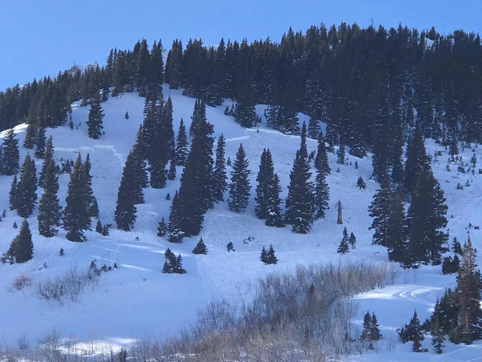 Large skier-triggered avalanche in the Aspen zone