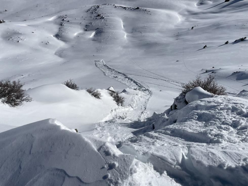 Looking down a steep slope at a narrow, winding avalanche path of debris.